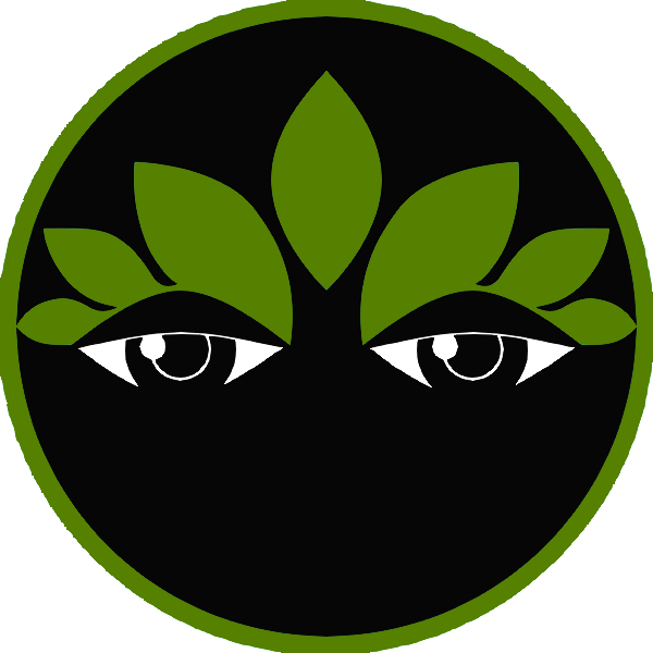 Início